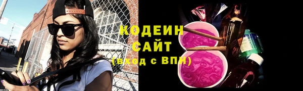 амф Новозыбков