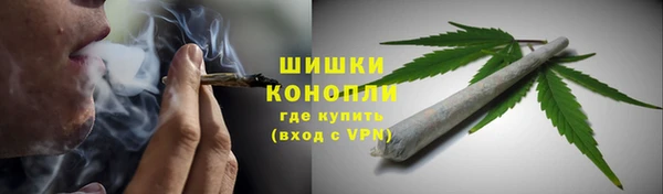 амф Новозыбков