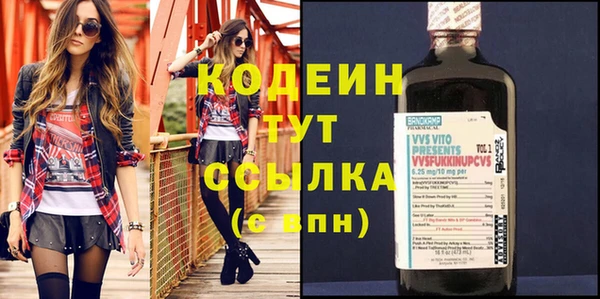 амф Новозыбков