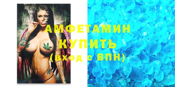 амф Новозыбков