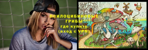 гашиш Новодвинск