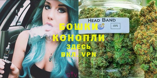 ГАЛЛЮЦИНОГЕННЫЕ ГРИБЫ Видное