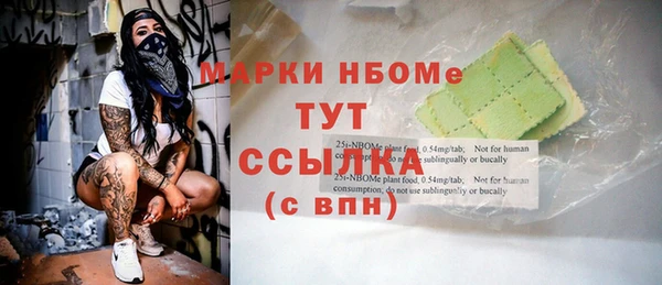 амф Новозыбков